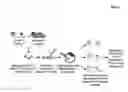 Fig. 02 - METHODS AND COMPOSITIONS RELATING TO AN EMBRYONIC STEM CELL-BASED TUMOR MODEL