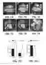 Fig. 08 - ANIMAL MODELS FOR CARDIOMYOPATHY