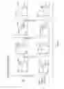 Fig. 08 - Humanized T cell co-receptor mice