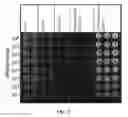 Fig. 04 - Altering microbial populations and modifying microbiota