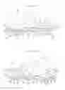 Fig. 02 - SHOE HAVING STABILIZER
