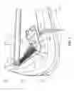 Fig. 03 - Rail fastener