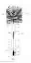 Fig. 02 - Brush Assembly