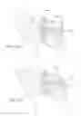 Fig. 22 - Device and method for reinforcement of a facet