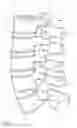 Fig. 02 - Apparatus for spinal fixation and methods of use