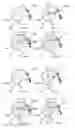 Fig. 33 - Anti-penetration bone implant device and method