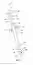 Fig. 02 - Surgical marker