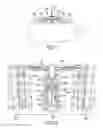 Fig. 05 - System for providing endodontic material using induction heating