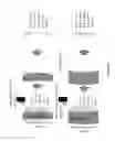 Fig. 09 - Method of preparing a tissue swatch for a bioprosthetic device