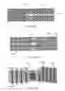 Fig. 49 - Stent alignment during treatment of a bifurcation