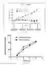 Fig. 07 - Stabilized cabazitaxel formulations