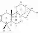 Fig. 09 - Method of use of diterpenoid derivatives as anticancer agents