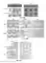 Fig. 57 - Methods for treating cancer with RORγ inhibitors