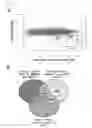 Fig. 05 - Compositions and methods for inhibiting bacterial growth