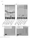 Fig. 07 - Compositions and methods for inhibiting bacterial growth