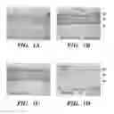 Fig. 02 - USE OF CHELATORS OF DIVALENT CATIONS TO PROMOTE NERVE REGENERATION