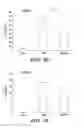 Fig. 06 - USE OF CHELATORS OF DIVALENT CATIONS TO PROMOTE NERVE REGENERATION