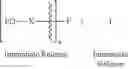 Fig. 211 - Opioid compositions resistant to overdose and abuse