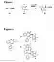 Fig. 02 - Antimicrobial compound
