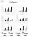 Fig. 02 - Platelet-derived growth factor compositions and methods for the treatment of tendinopathies
