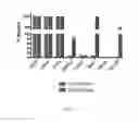 Fig. 06 - Optimized cancer stem cell vaccines