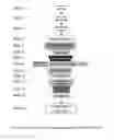 Fig. 02 - Methods to analyze genetic alterations in cancer to identify therapeutic peptide vaccines and kits therefore