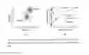 Fig. 07 - Methods to analyze genetic alterations in cancer to identify therapeutic peptide vaccines and kits therefore