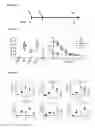 Fig. 05 - Vaccines with CD40 ligand as an adjuvant