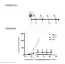 Fig. 07 - Vaccines with CD40 ligand as an adjuvant