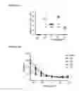Fig. 29 - Vaccines with CD40 ligand as an adjuvant
