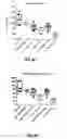 Fig. 09 - COMBINATION THERAPY FOR CANCER