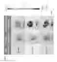 Fig. 03 - LIPID NANOPARTICLE COMPOSITIONS
