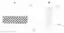 Fig. 01 - MULTIFUNCTIONAL COMPOSITE SKIN OR WOUND DRESSING AS REGENERATIVE SKIN SUBSTITUTE