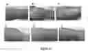 Fig. 22 - MULTIFUNCTIONAL COMPOSITE SKIN OR WOUND DRESSING AS REGENERATIVE SKIN SUBSTITUTE
