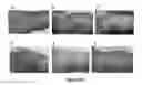 Fig. 23 - MULTIFUNCTIONAL COMPOSITE SKIN OR WOUND DRESSING AS REGENERATIVE SKIN SUBSTITUTE
