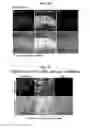 Fig. 05 - Adhesive peptide and use therefor