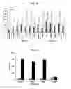 Fig. 13 - Adhesive peptide and use therefor