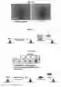 Fig. 19 - Adhesive peptide and use therefor