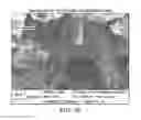 Fig. 07 - Amine-functionalized polymeric compositions for medical devices