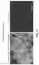Fig. 22 - Bone matrix compositions and methods for their preparation and use
