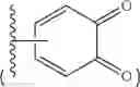 Fig. 08 - Hemostatic injection needle coated with crosslinked chitosan having catechol group and oxidized catechol group