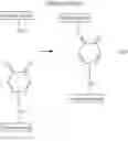 Fig. 09 - Hemostatic injection needle coated with crosslinked chitosan having catechol group and oxidized catechol group