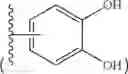 Fig. 10 - Hemostatic injection needle coated with crosslinked chitosan having catechol group and oxidized catechol group