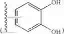 Fig. 28 - Hemostatic injection needle coated with crosslinked chitosan having catechol group and oxidized catechol group