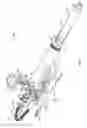 Fig. 05 - Dispensing fluid from an infusion pump system