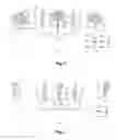 Fig. 02 - Electroformed Needle Cannula