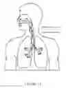 Fig. 09 - User interface and system for supplying gases to an airway