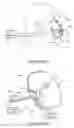 Fig. 45 - User interface and system for supplying gases to an airway