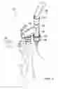 Fig. 02 - Nebulize adapter kit