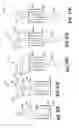 Fig. 25 - Devices, systems, and methods useful to engage tissue using suction and to perform medical procedures during suctional engagement